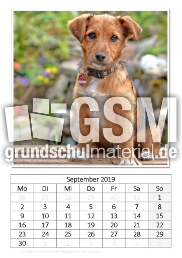 September_Mischling.pdf